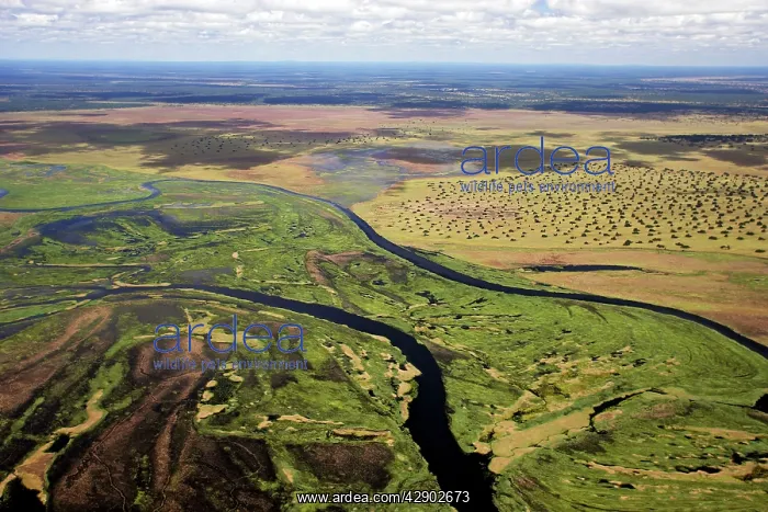 : Bangweuleu marshes - aerial : Bangweuleu marshes - aerial
