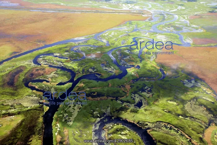 : Bangweuleu marshes - aerial : Bangweuleu marshes - aerial