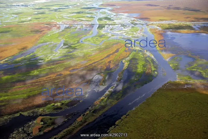 : Bangweuleu marshes - aerial : Bangweuleu marshes - aerial