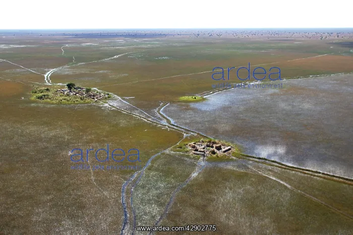 : Bangweuleu marshes - aerial of marsh and villages : Bangweuleu marshes - aerial of marsh and villages