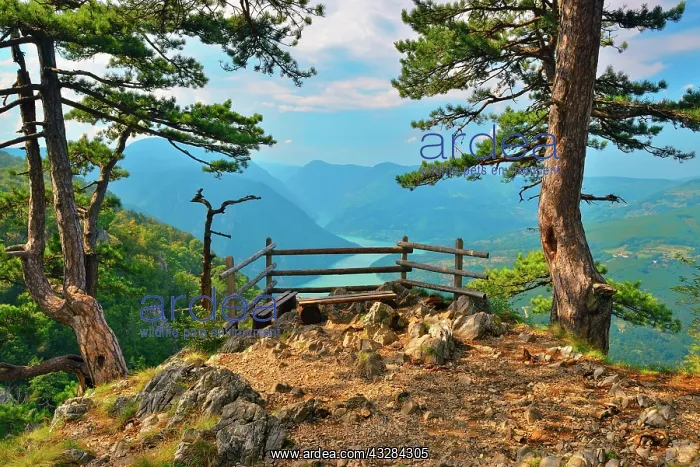: Banjska Stena, Tara National Park, Serbia, Europe : Banjska Stena, Tara National Park, Serbia, Europe
