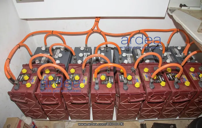 : Bank of Deep Cycle Storage Batteries linked in parallel : Bank of Deep Cycle Storage Batteries linked in parallel