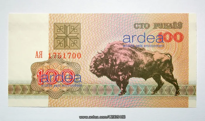 : Banknote - Old Belorussia uncirculated banknote : Banknote - Old Belorussia uncirculated banknote