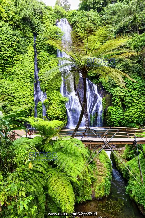 : Banyumala Twin Waterfalls, located in the North Bali region : Banyumala Twin Waterfalls, located in the North Bali region