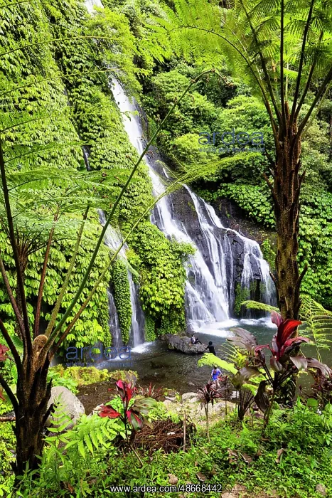 : Banyumala Twin Waterfalls, located in the North Bali region : Banyumala Twin Waterfalls, located in the North Bali region