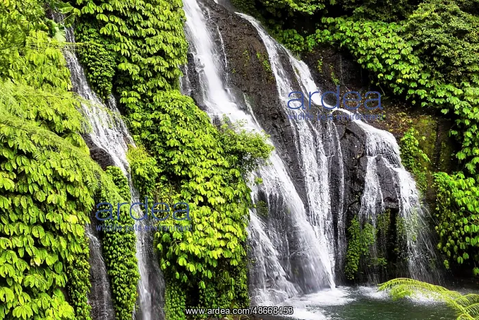 : Banyumala Twin Waterfalls, located in the North Bali region : Banyumala Twin Waterfalls, located in the North Bali region