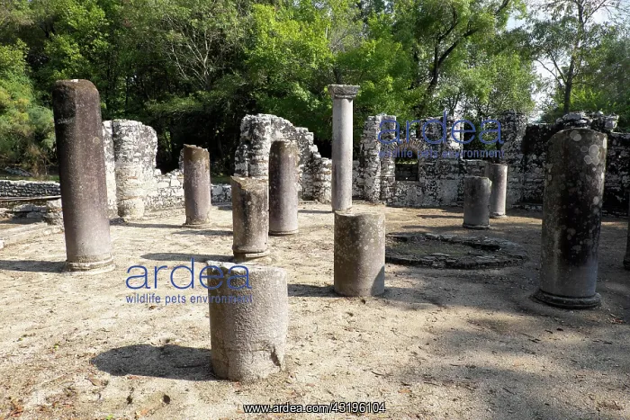 : Baptistery, ancient city of Butrint, Vlora, Albania : Baptistery, ancient city of Butrint, Vlora, Albania