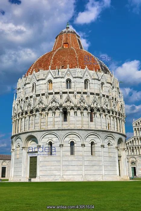 : Baptistery of St John, Piazza dei Miracoli, Pisa, Italy : Baptistery of St John, Piazza dei Miracoli, Pisa, Italy