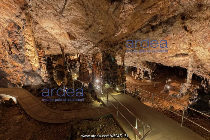 : The Baradla Show Cave in Aggtelek National : The Baradla Show Cave in Aggtelek National