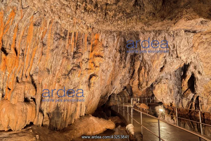 : The Baradla Show Cave in the Aggtelek National : The Baradla Show Cave in the Aggtelek National