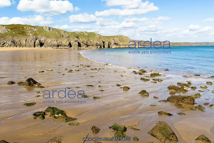 : Barafundle Bay, Pembrokeshire, Wales, United Kingdom : Barafundle Bay, Pembrokeshire, Wales, United Kingdom