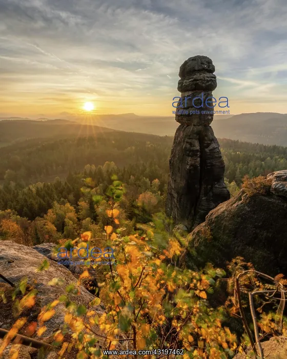 : Barbarine on the Pfaffenstein at sunrise, Elbe Sandstone : Barbarine on the Pfaffenstein at sunrise, Elbe Sandstone