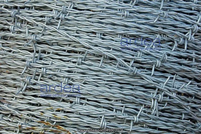  : barbed wire, Arizona