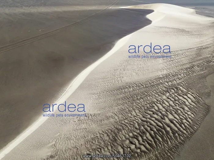 : Barchan dune and sand patterns in the Namib Desert : Barchan dune and sand patterns in the Namib Desert