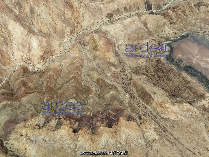  : Bare canyon walls at the Fish River Canyon
