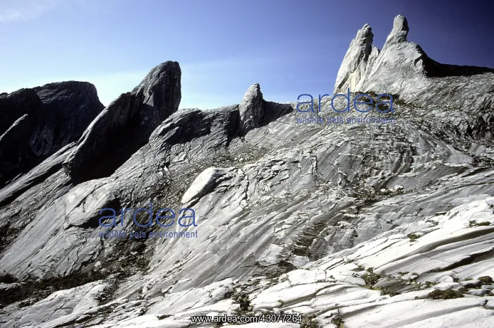 : Bare Granite : Bare Granite