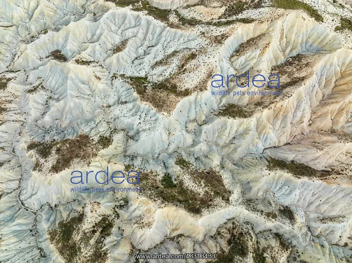 : Bare ridges of eroded sandstone in the badlands : Bare ridges of eroded sandstone in the badlands