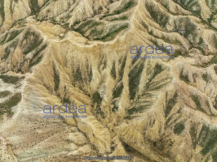 : Bare ridges of eroded sandstone in the badlands : Bare ridges of eroded sandstone in the badlands