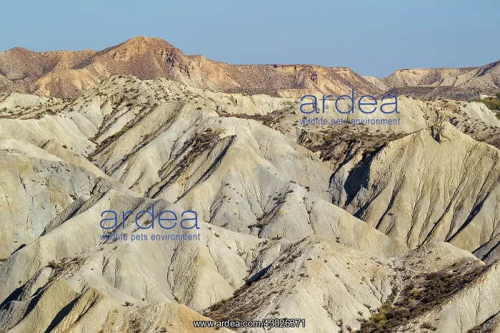 : Bare ridges of eroded sandstone in the badlands of the T : Bare ridges of eroded sandstone in the badlands of the T