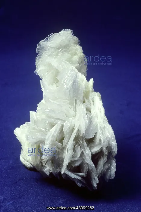 : Barite crystals from Baia Sprie, Romania : Barite crystals from Baia Sprie, Romania