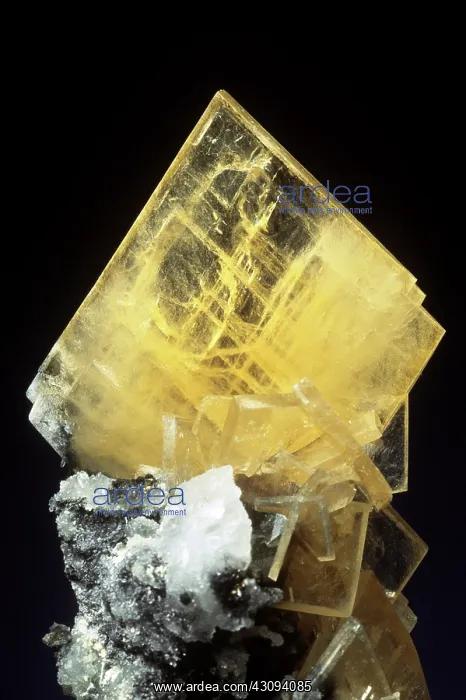 : Barite from the Roata mine - Cavnic, Maramures, Romania : Barite from the Roata mine - Cavnic, Maramures, Romania