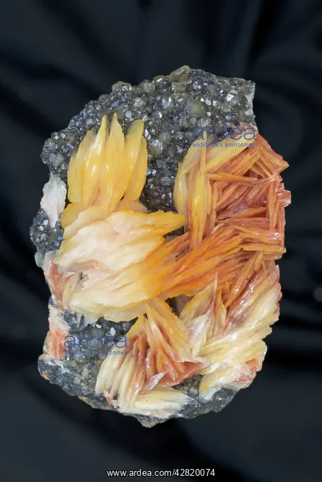 : Barite (BaS04) on Cerrusite : Barite (BaS04) on Cerrusite