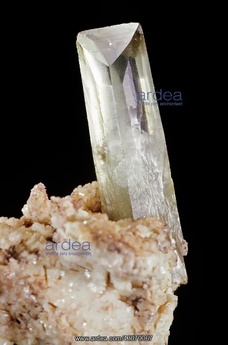 : Barite from Cumberland, England : Barite from Cumberland, England