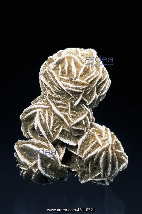 : Barite with gypsum : Barite with gypsum