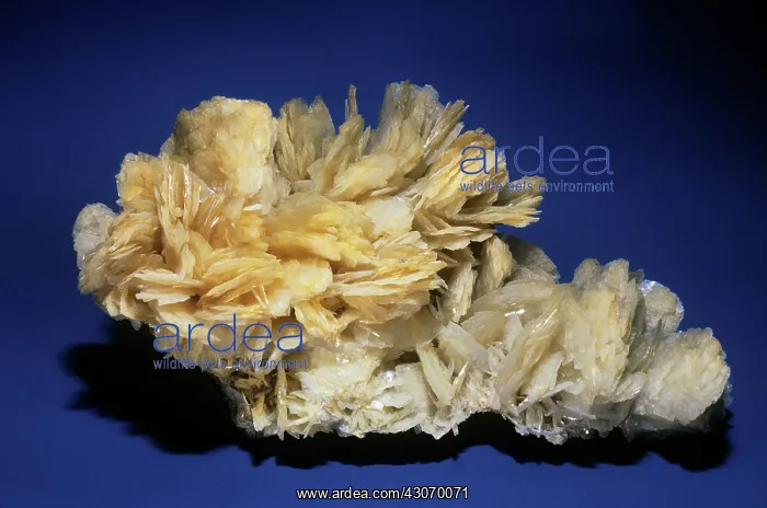: Barite from Kapnic, Rumania : Barite from Kapnic, Rumania