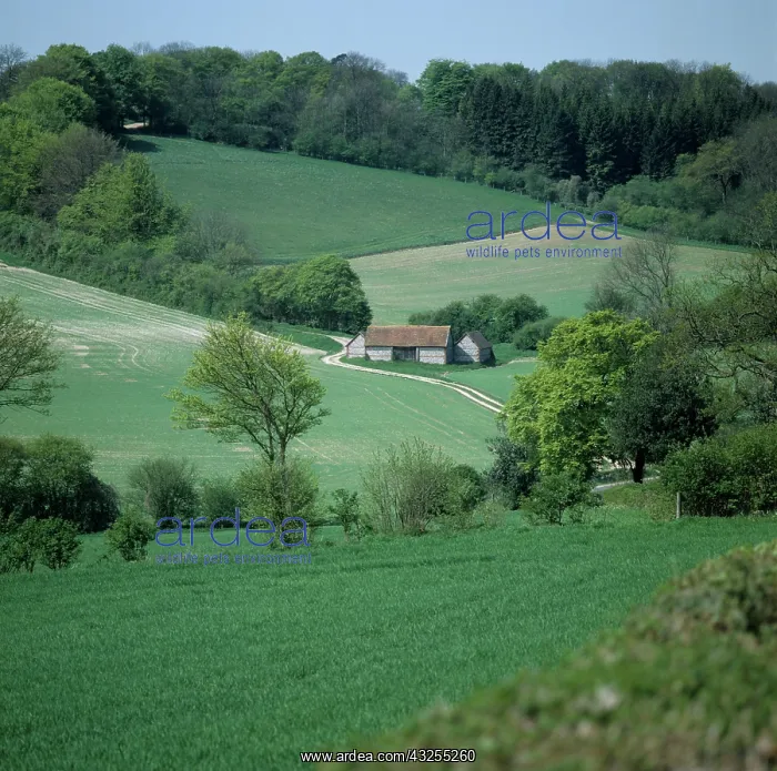 : Barn and cereal crops, England : Barn and cereal crops, England