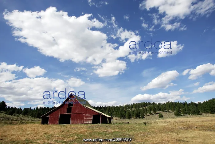 : Barn & farmland : Barn & farmland