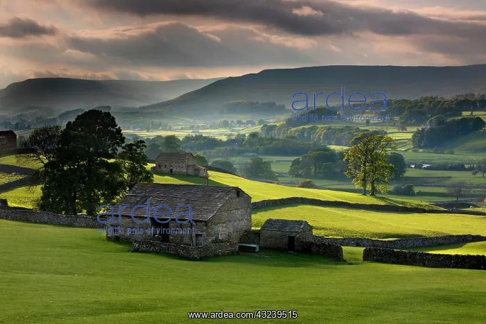  : Barn near Butersett - Hawes - Yorkshire - UK