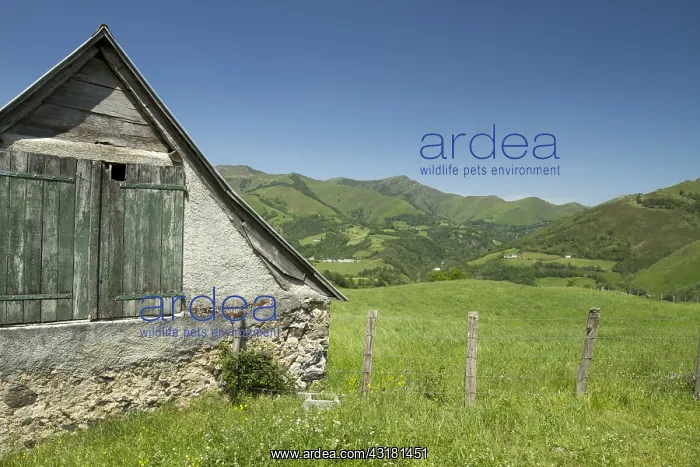  : Barn, Pasture and Fence, Larrau, La Soule, Pyr&, x9ba9;es-Atl