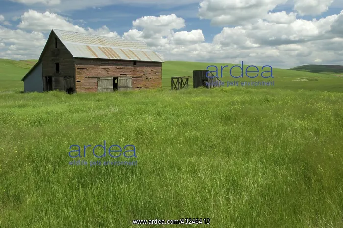 : Barn and Prairie, Idaho : Barn and Prairie, Idaho