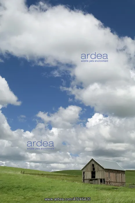 : Barn and Prairie, Idaho : Barn and Prairie, Idaho