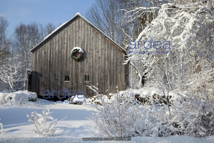 : Barn After Snowfall : Barn After Snowfall