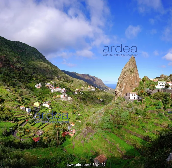 : Barranco del Cedro with Roque Pedro, Hermigua, La : Barranco del Cedro with Roque Pedro, Hermigua, La