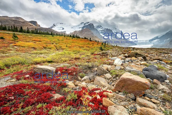  : Barren autumn landscape, mountain landscape, glacier