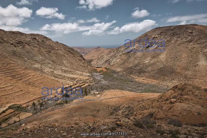: Barren hilly landscape, Spain, Fuerteventura : Barren hilly landscape, Spain, Fuerteventura