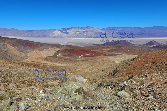  : Barren landscape of Death Valley National Park