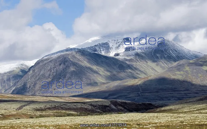 : Barren mountain landscape in autumn, Rondane National : Barren mountain landscape in autumn, Rondane National