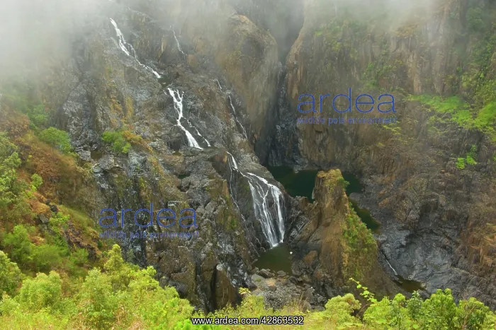 : Barron Falls and Gorge - impressive narrow gorge : Barron Falls and Gorge - impressive narrow gorge