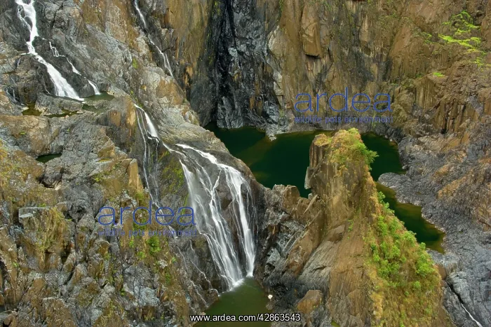 : Barron Falls and Gorge - impressive narrow gorge : Barron Falls and Gorge - impressive narrow gorge