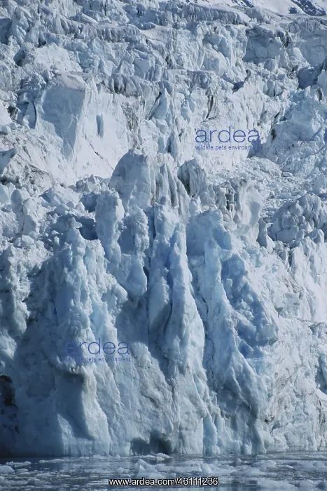 : Barry Glacier : Barry Glacier