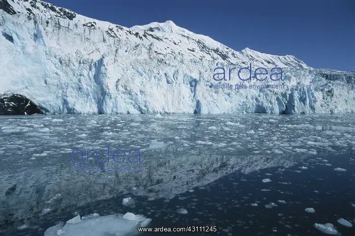 : Barry Glacier : Barry Glacier