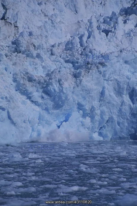 : Barry Glacier, Calving : Barry Glacier, Calving