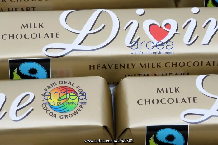 : Bars of fair traded Divine chocolate with Fairtrade logo : Bars of fair traded Divine chocolate with Fairtrade logo