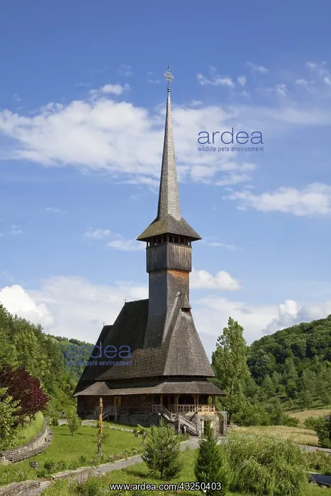 : The Barsana monastery Romania, was build : The Barsana monastery Romania, was build