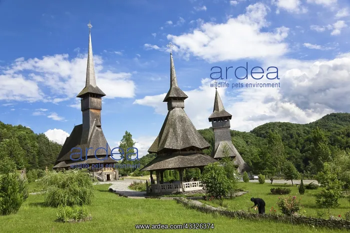 : The Barsana monastery Romania, was build : The Barsana monastery Romania, was build