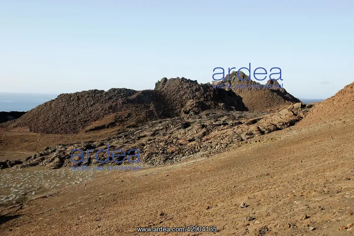 : Bartolome island